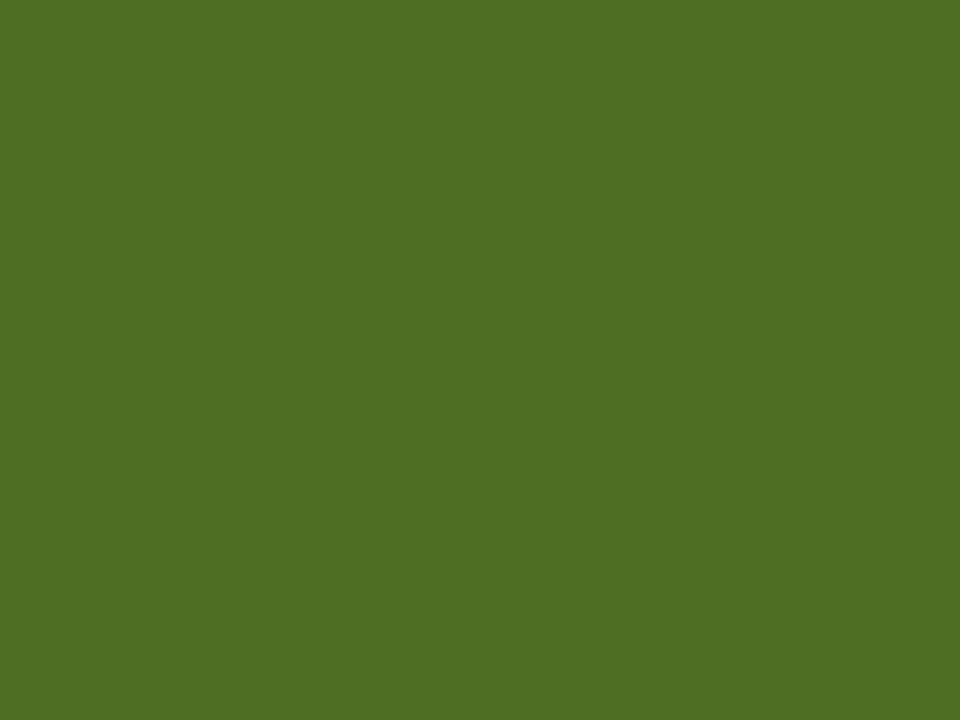Farbe Grasgrün RAL6010 400ml im Oldtimer Traktor Ersatzteile Shop online kaufen